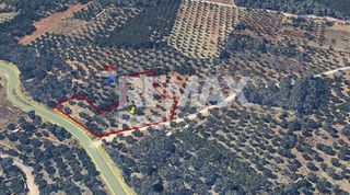 Οικόπεδο 4.100 τ.μ. για πώληση