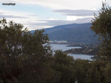 Land plot 6.000sqm for sale-Argalasti » Lefokastro