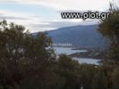 Land plot 6.000sqm for sale-Argalasti » Lefokastro