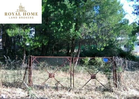 Land plot 2.800sqm for sale-Anoixi » Fasideri