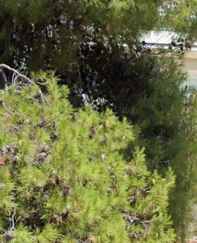 Οικόπεδο 1.144τ.μ. για πώληση-Γλυφάδα » Γκολφ