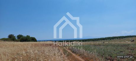 Αγροτεμάχια 24.000 τ.μ. για πώληση