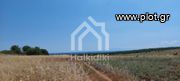 Parcel 24.000sqm for sale-Triglia » Nea Triglia