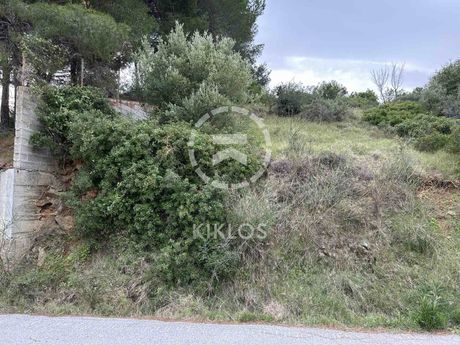 Land plot 2.500sqm for sale-Distos » Lianammo