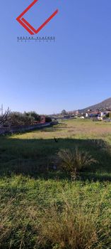Αγροτεμάχια 5.330 τ.μ. για πώληση