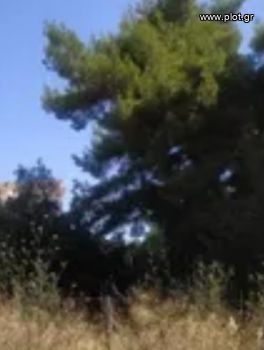 Οικόπεδο 771τ.μ. για πώληση-Γλυφάδα » Κάτω γλυφάδα
