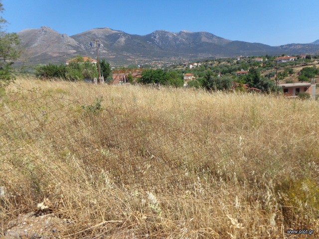 Οικόπεδο 272 τ.μ. για πώληση, Εύβοια, Αμάρυνθος