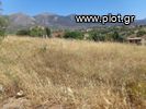 Οικόπεδο 273τ.μ. για πώληση-Αμάρυνθος » Καλλιθέα