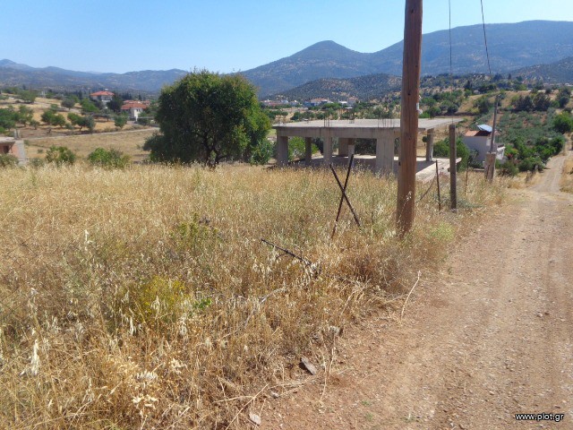 Οικόπεδο 272 τ.μ. πρός πώληση, Εύβοια, Αμάρυνθος