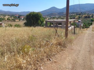 Οικόπεδο 272 τ.μ. για πώληση, Εύβοια, Αμάρυνθος-thumb-1