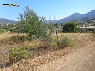Οικόπεδο 272 τ.μ. για πώληση, Εύβοια, Αμάρυνθος-thumb-3