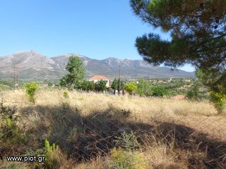Οικόπεδο 272 τ.μ. για πώληση, Εύβοια, Αμάρυνθος-thumb-4