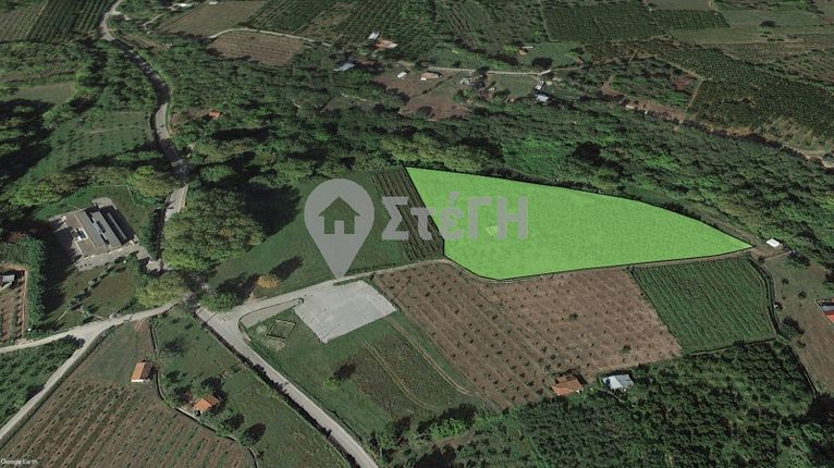 Αγροτεμάχια 9.560 τ.μ. για πώληση, Ημαθία, Νάουσα