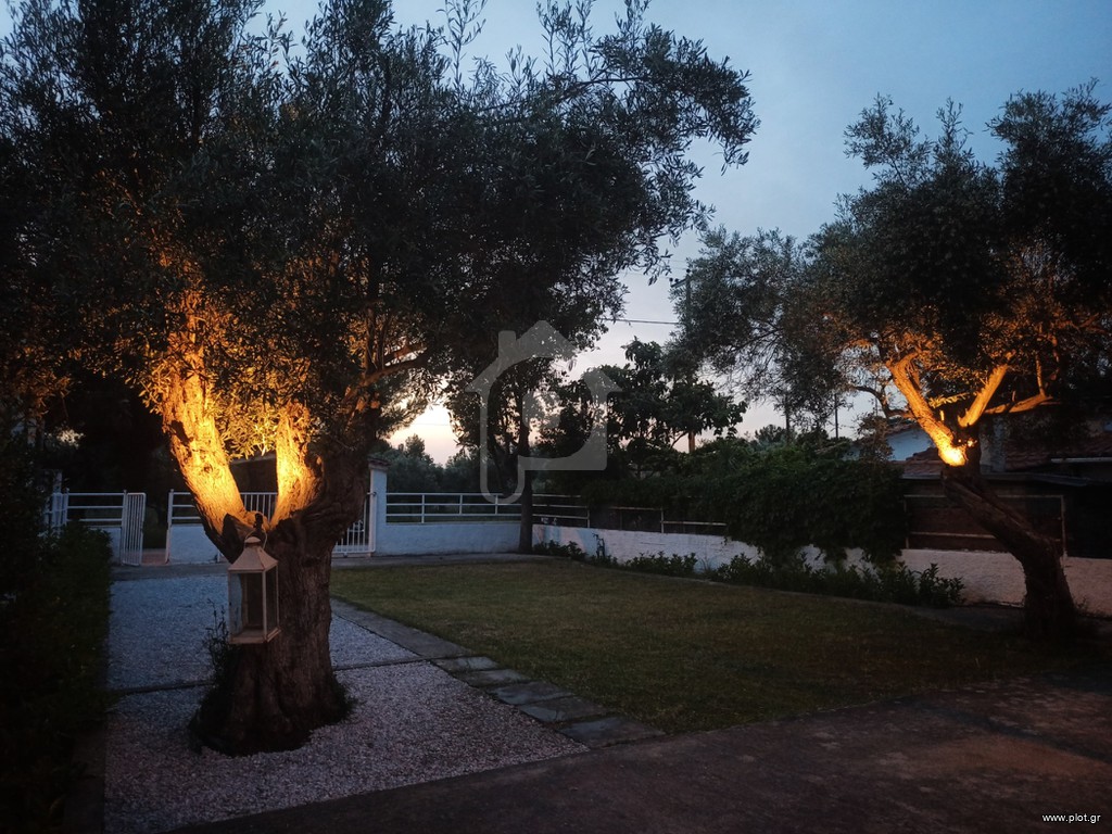 Μονοκατοικία 120 τ.μ. για κράτηση, Εύβοια, Ανθηδώνος