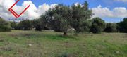 Parcel 4.500sqm for sale-Anavissos » Mavro Lithari