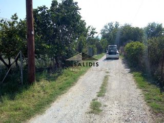 Αγροτεμάχια 1.000 τ.μ. για ενοικίαση