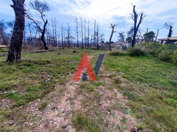 Οικόπεδο 1.006 τ.μ. για πώληση, Αθήνα - Βόρεια Προάστια, Νέα Ερυθραία