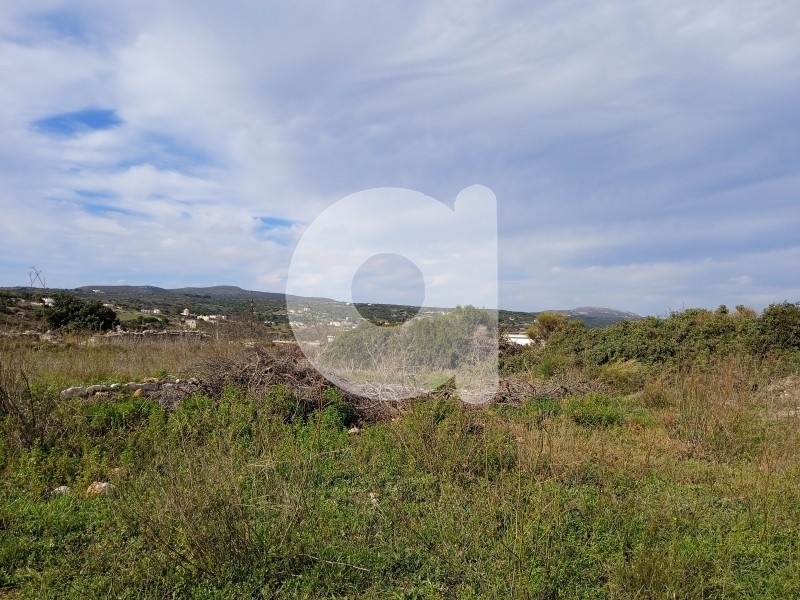 Οικόπεδο 7.000 τ.μ. πρός πώληση, Λακωνία, Κύθηρα