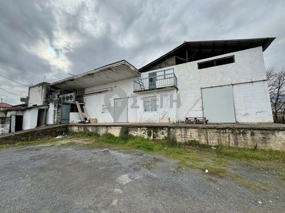 Βιομηχανικός χώρος 732 τ.μ. για πώληση, Ημαθία, Ανθεμιά