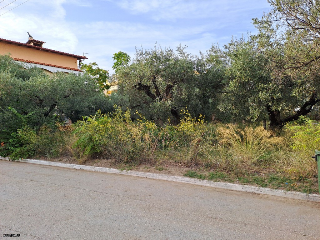 Οικόπεδο 500 τ.μ. προς πώληση, Καρυά Καμένων Βούρλων