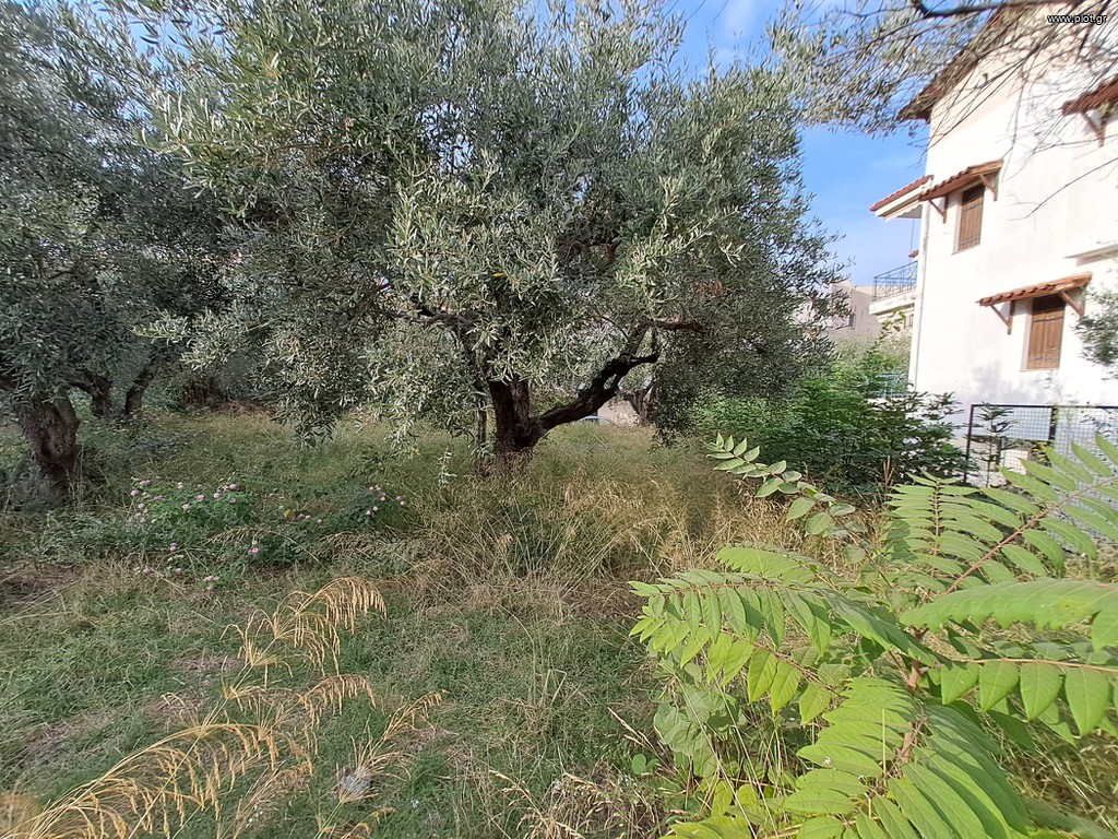 Οικόπεδο 500 τ.μ. προς πώληση, Καρυά Καμένων Βούρλων