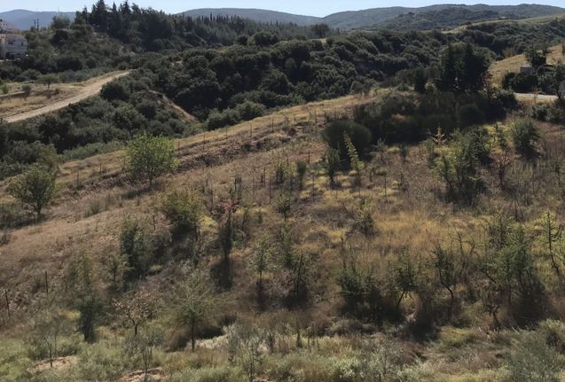 Land plot 502 sqm for sale, Thessaloniki - Suburbs, Thermi