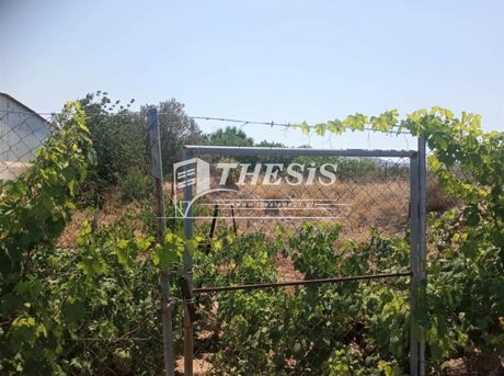 Land plot 800sqm for sale-Aegina » Center