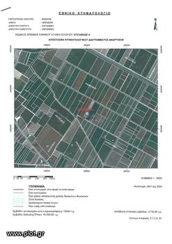 Αγροτεμάχια 10.000 τ.μ. για πώληση