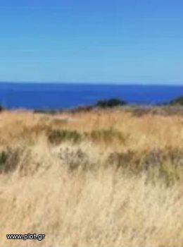 Οικόπεδο 38.000τ.μ. για πώληση-Σίκινος » Πυργάρι