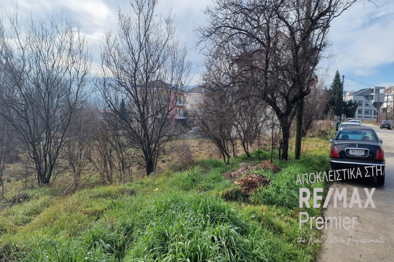 Οικόπεδο 1.186 τ.μ. πρός πώληση, Ν. Ιωαννίνων, Ιωάννινα