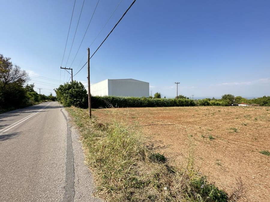 Αγροτεμάχια 5.807 τ.μ. για πώληση, Ημαθία, Βέροια