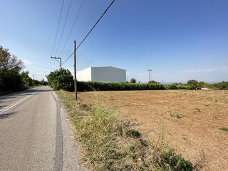 Αγροτεμάχια 5.807 τ.μ. για πώληση