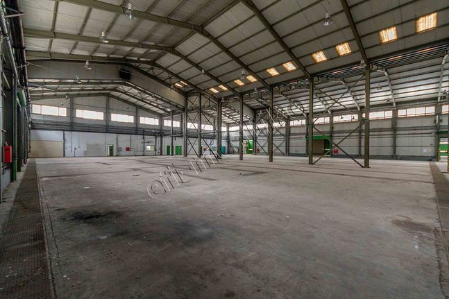 Industrial space 9.450 sqm for rent, Evros, Alexandroupoli