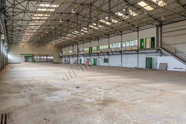 Industrial space 5.301 sqm for rent, Evros, Alexandroupoli