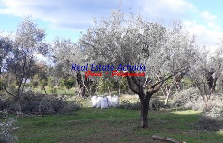 Αγροτεμάχια 1.457τ.μ. για πώληση-Αίγιο » Τέμενη