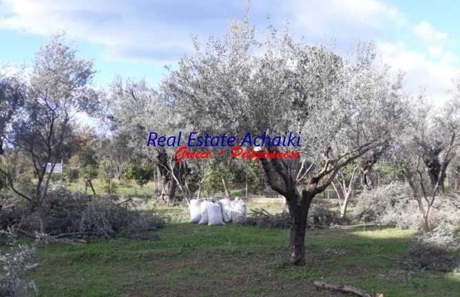 Αγροτεμάχια 1.457 τ.μ. για πώληση, Αχαΐα, Αίγιο