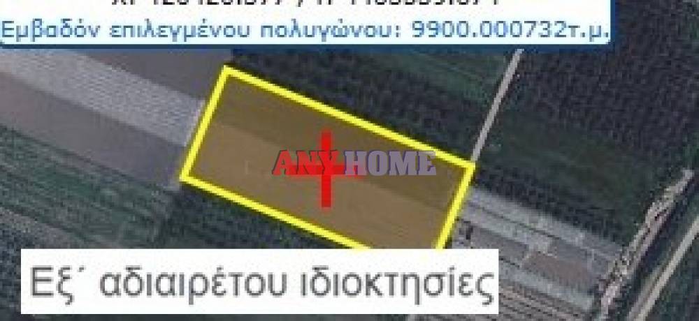 Αγροτεμάχια 5.000 τ.μ. προς πώληση, Νέα Καλλικράτεια