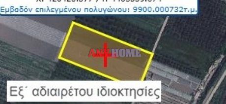 Αγροτεμάχια 5.000τ.μ. για πώληση-Καλλικράτεια » Νέα καλλικράτεια