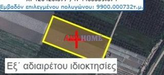 Αγροτεμάχια 5.000 τ.μ. για πώληση