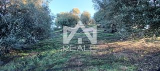 Οικόπεδο 3.475 τ.μ. για πώληση, Ν. Κέρκυρας, Κέρκυρα-thumb-2