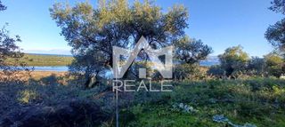 Οικόπεδο 3.475 τ.μ. για πώληση