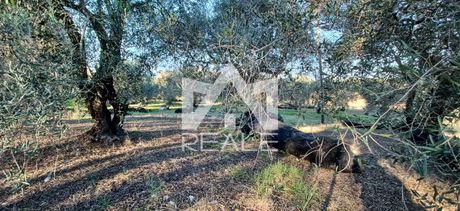 Οικόπεδο 6.087 τ.μ. για πώληση