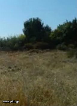 Land plot 8.000sqm for sale-Vari - Varkiza » Miladeza