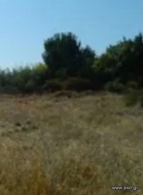 Land plot 8.000 sqm for sale, Athens - South, Vari - Varkiza