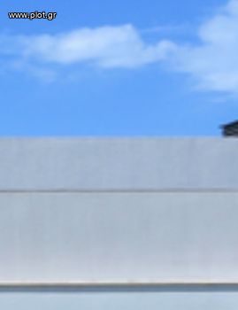 Μονοκατοικία 110τ.μ. για πώληση-Βάρη- βάρκιζα » Ασύρματος αλίανθου