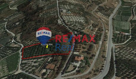 Οικόπεδο 7.350τ.μ. για πώληση-Ηράκλειο κρήτης » Δαφνές