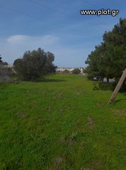 Οικόπεδο 400.057 τ.μ. για πώληση, Ν. Λασιθίου, Σητεία-thumb-4