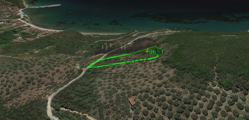 Αγροτεμάχια 9.651 τ.μ. προς πώληση, Πλατανιά Σηπιάδας