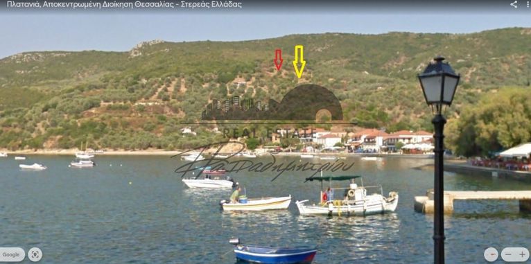 Αγροτεμάχια 9.651 τ.μ. για πώληση, Μαγνησία, Σηπιάδα