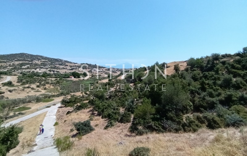 Οικόπεδο 500 τ.μ. προς πώληση, Σκάλα Συκέας